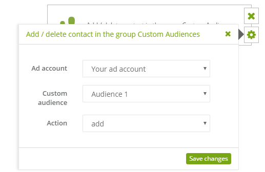 custom audience