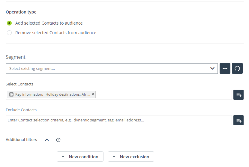 ad audiences example tiktok